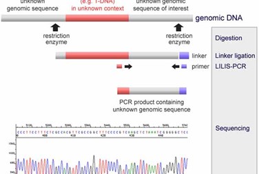 Eurofins genomics Eurofins genomics