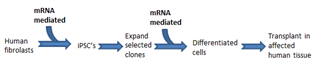 Mrna App2