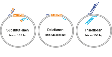 SDM_XXL